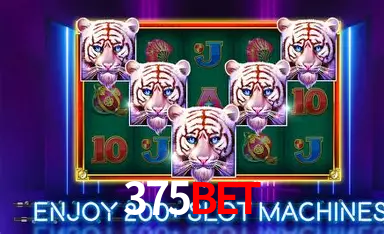 375bet Brasília - Jogo Features